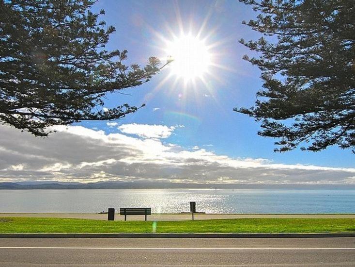 Beach House Studios Napier Ngoại thất bức ảnh